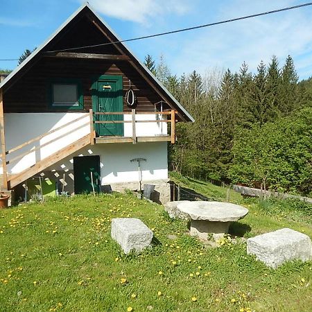 Ferienhaus Am Reitbauernhof Luckyranch Mellach  外观 照片